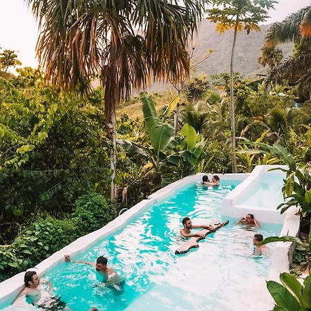 The Valley Tayrona Hostel- A Social Jungle Hostel 埃尔扎伊诺 外观 照片