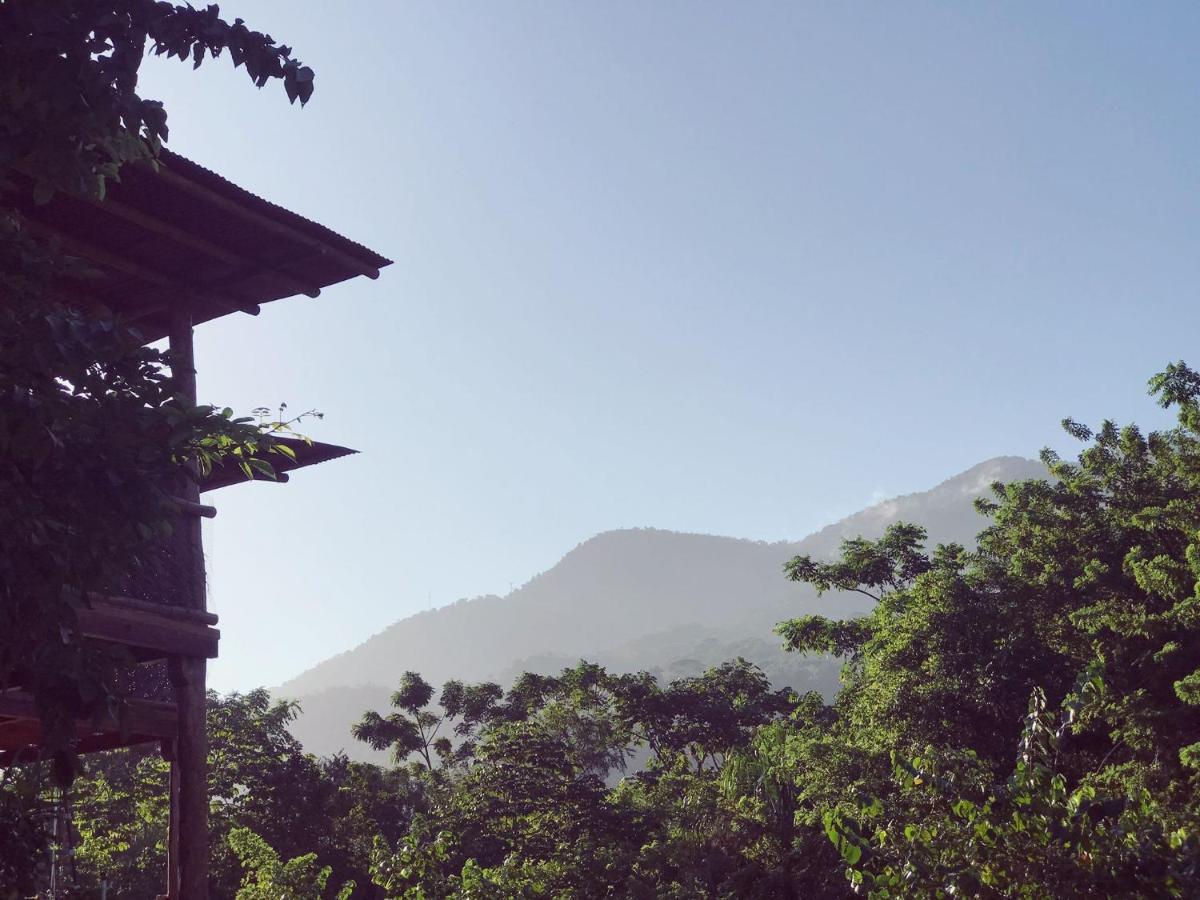The Valley Tayrona Hostel- A Social Jungle Hostel 埃尔扎伊诺 外观 照片