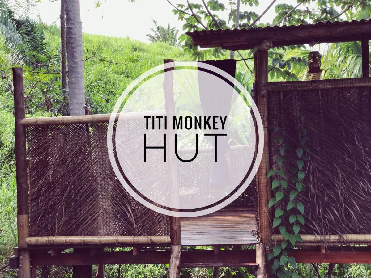 The Valley Tayrona Hostel- A Social Jungle Hostel 埃尔扎伊诺 外观 照片