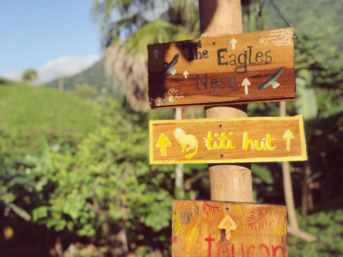 The Valley Tayrona Hostel- A Social Jungle Hostel 埃尔扎伊诺 外观 照片
