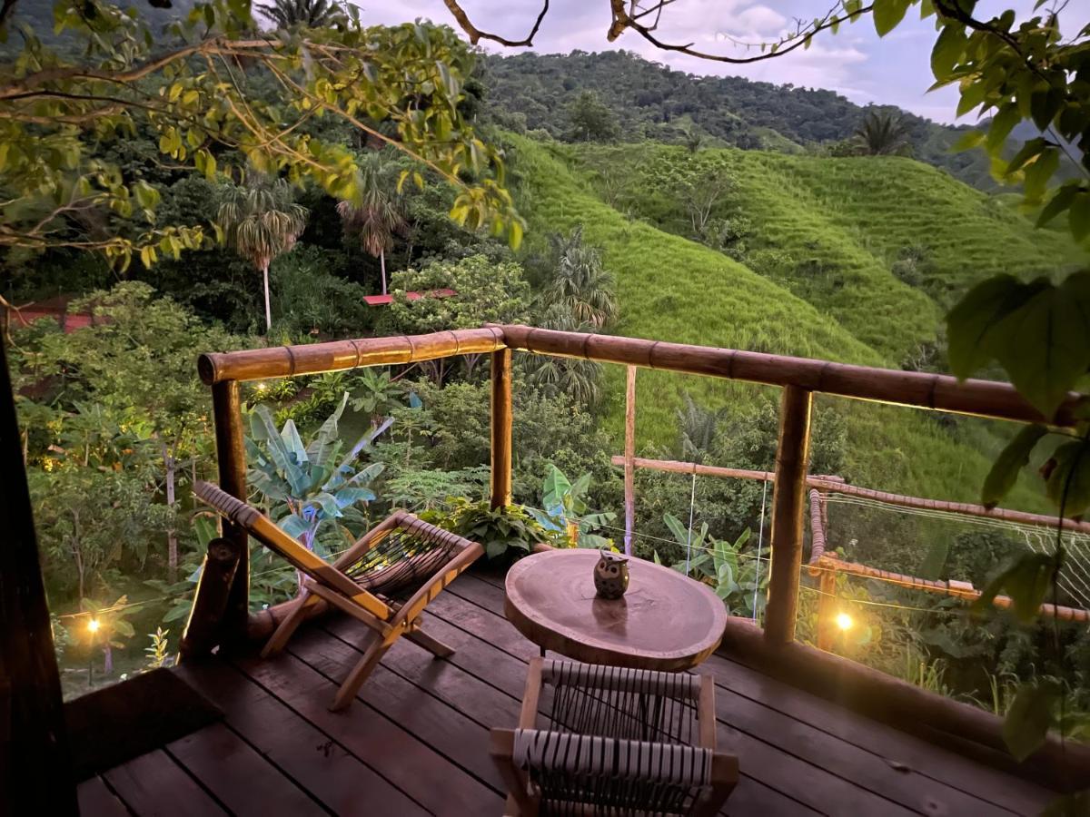 The Valley Tayrona Hostel- A Social Jungle Hostel 埃尔扎伊诺 外观 照片