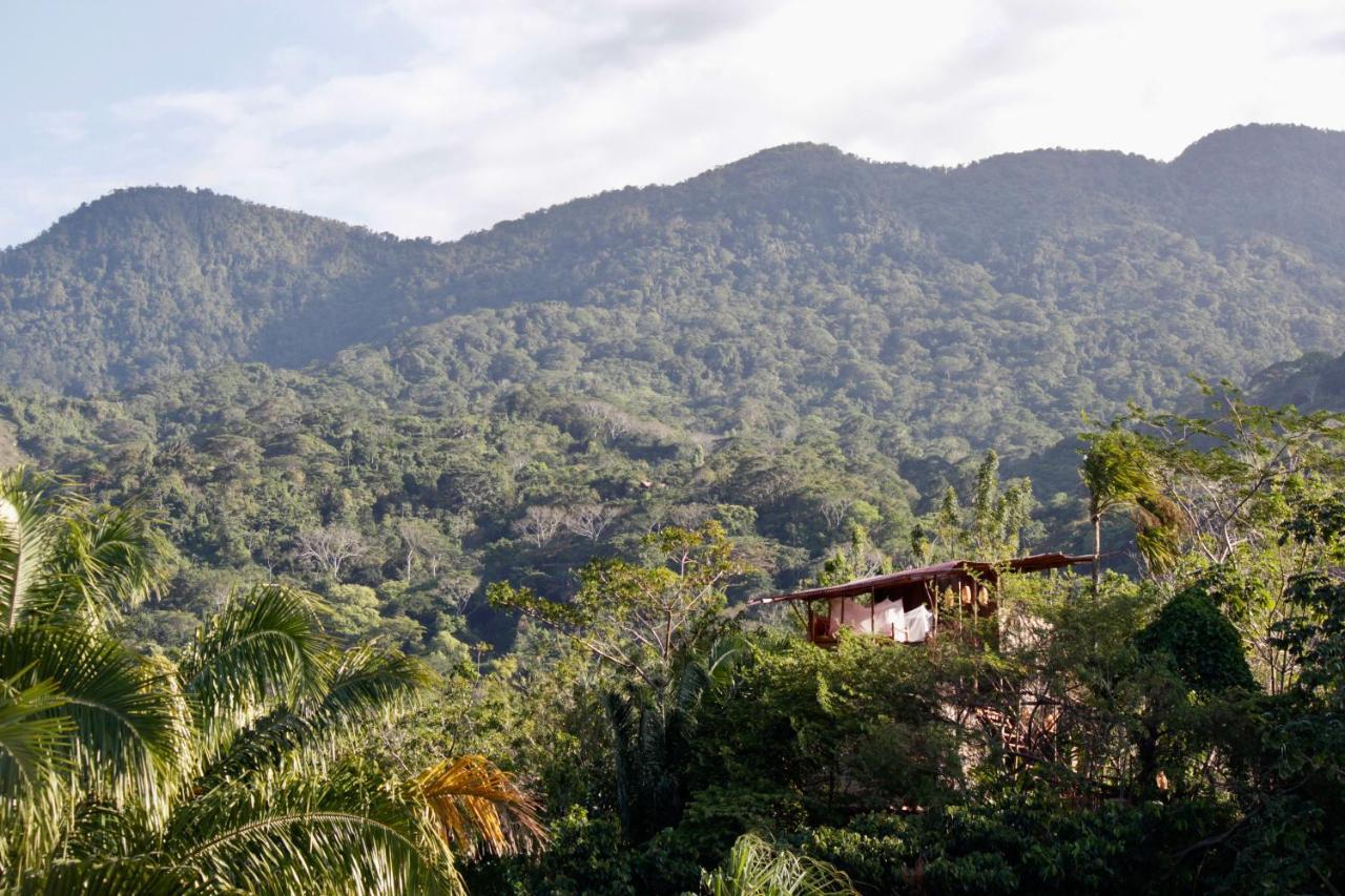 The Valley Tayrona Hostel- A Social Jungle Hostel 埃尔扎伊诺 外观 照片