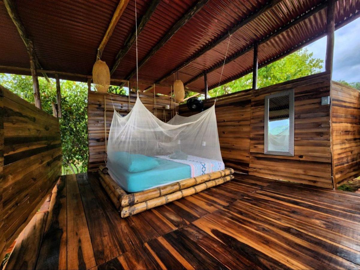 The Valley Tayrona Hostel- A Social Jungle Hostel 埃尔扎伊诺 外观 照片
