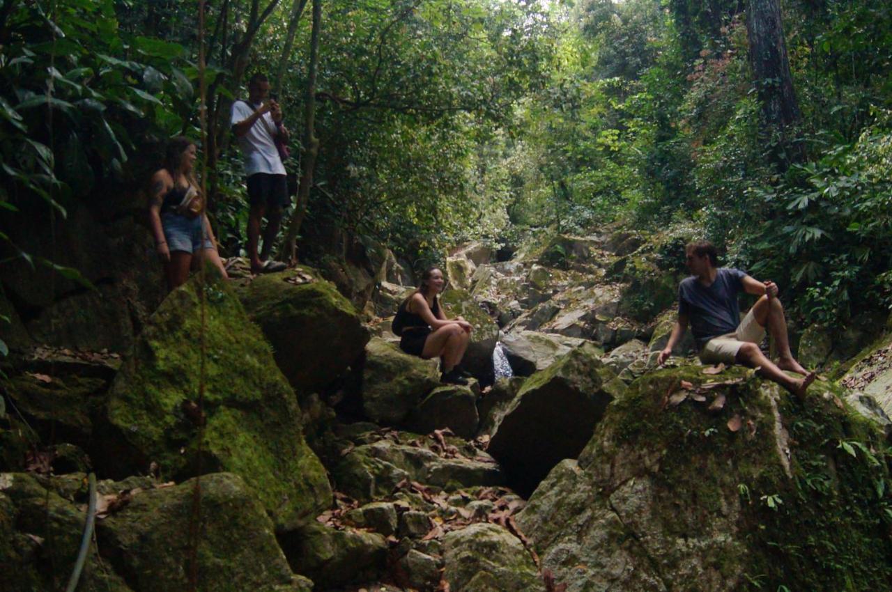 The Valley Tayrona Hostel- A Social Jungle Hostel 埃尔扎伊诺 外观 照片