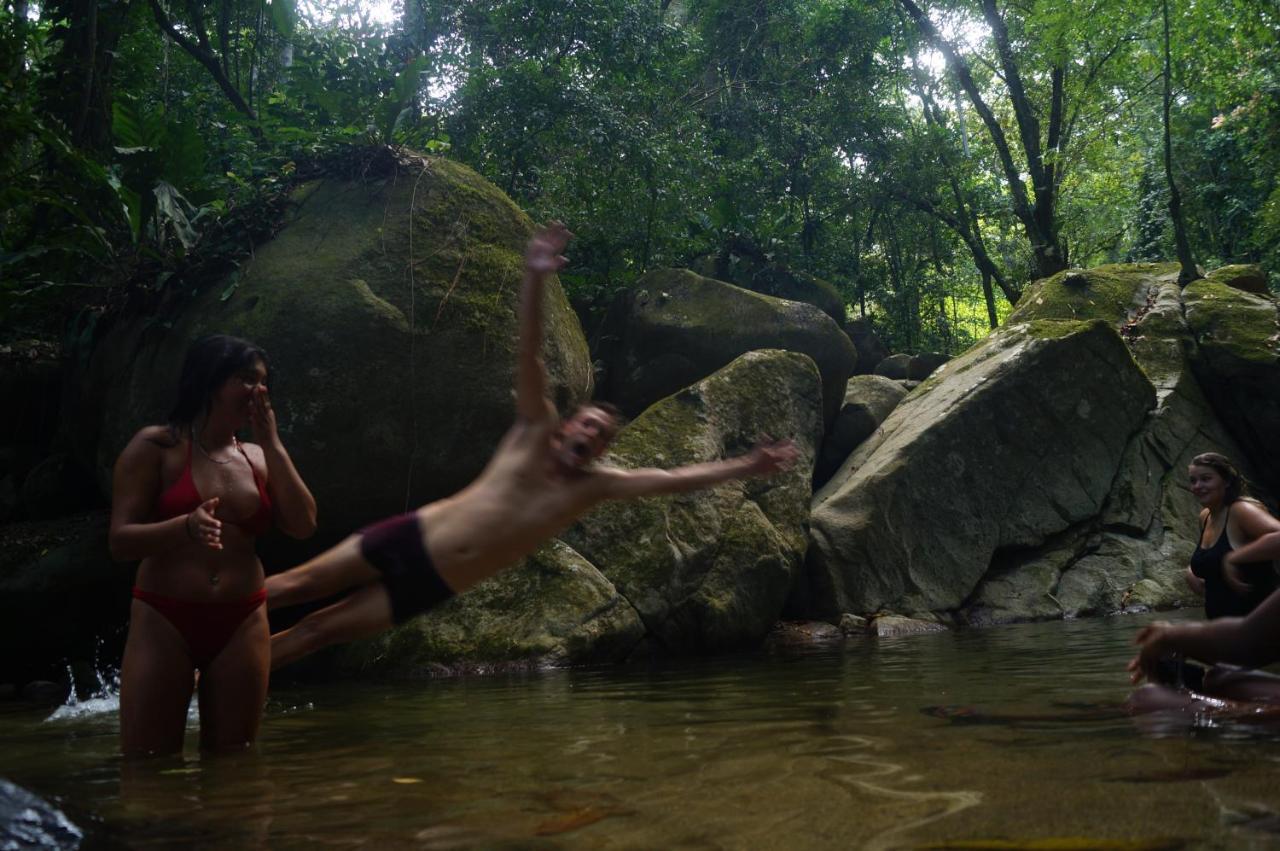 The Valley Tayrona Hostel- A Social Jungle Hostel 埃尔扎伊诺 外观 照片