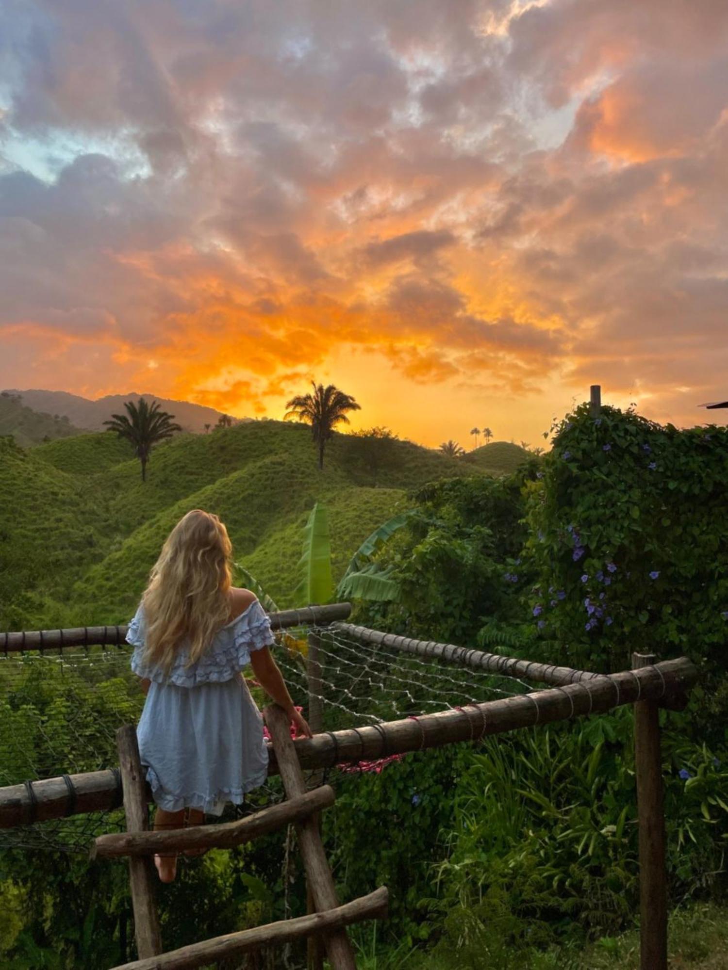 The Valley Tayrona Hostel- A Social Jungle Hostel 埃尔扎伊诺 外观 照片