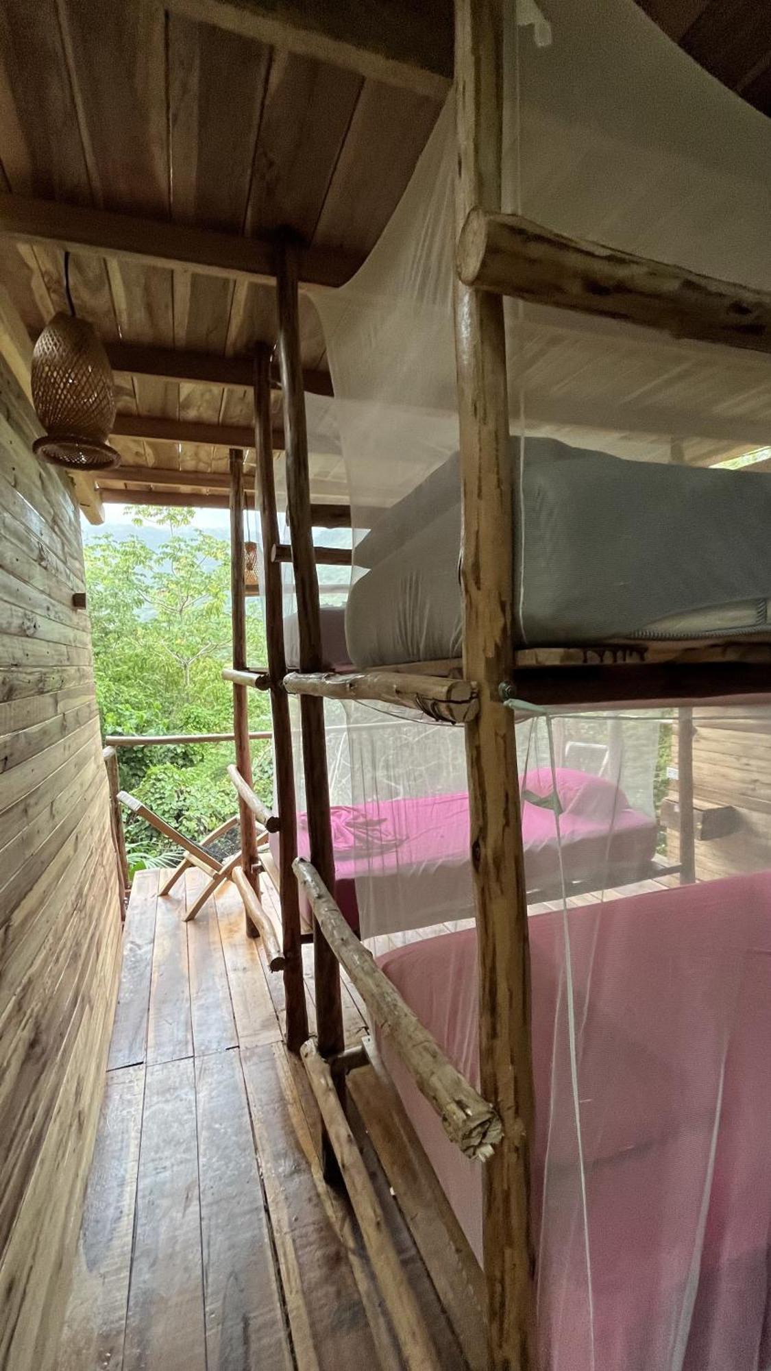 The Valley Tayrona Hostel- A Social Jungle Hostel 埃尔扎伊诺 外观 照片