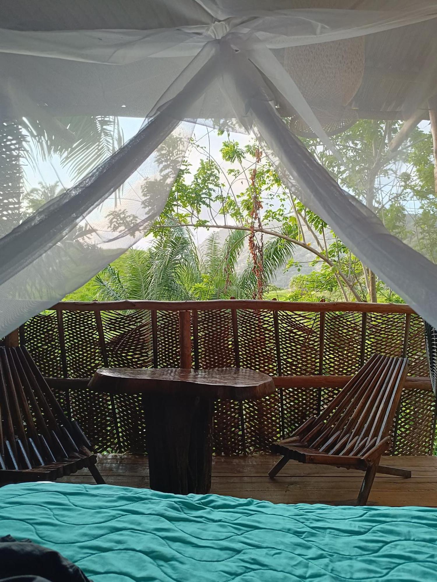 The Valley Tayrona Hostel- A Social Jungle Hostel 埃尔扎伊诺 外观 照片