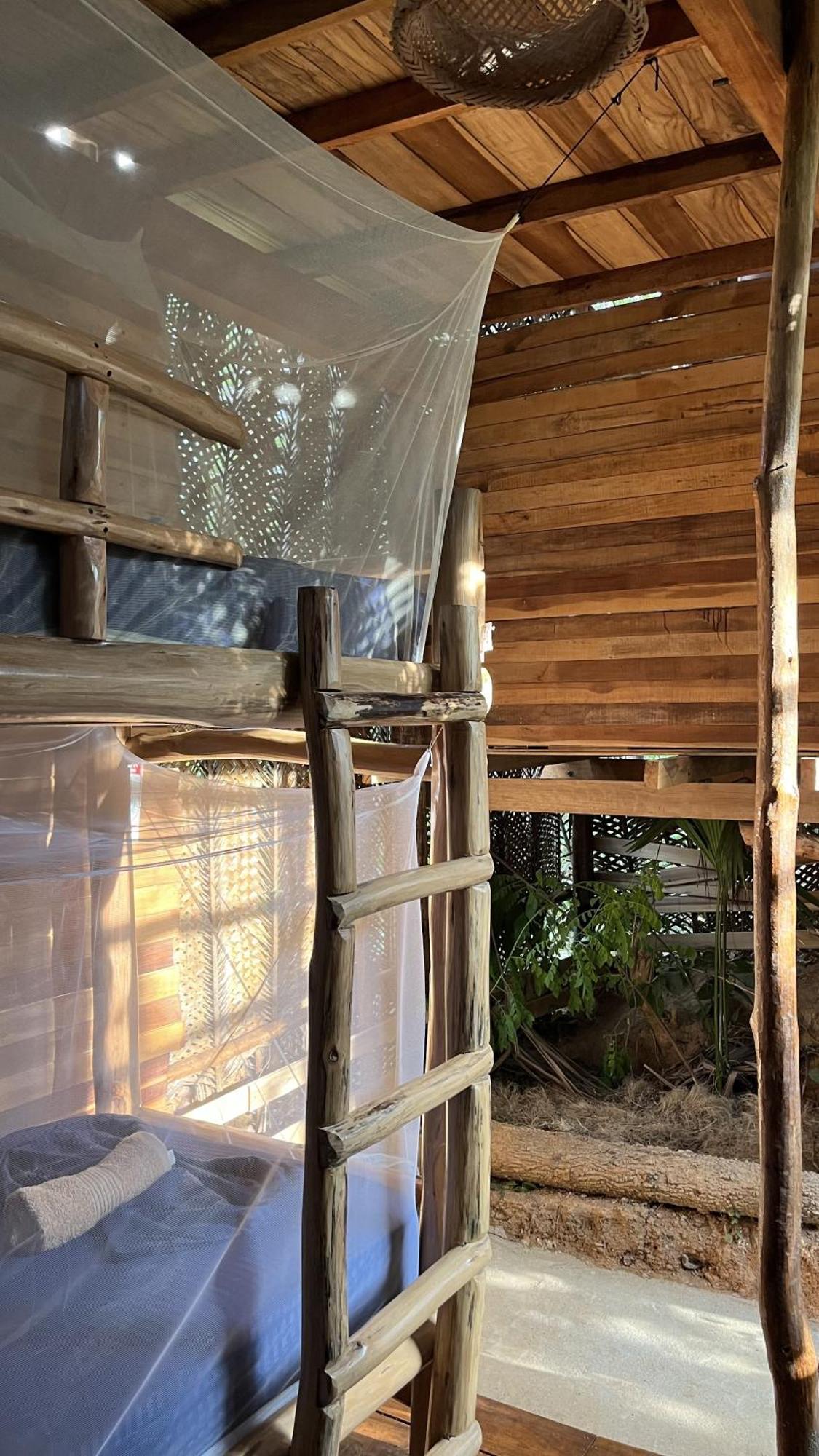 The Valley Tayrona Hostel- A Social Jungle Hostel 埃尔扎伊诺 外观 照片
