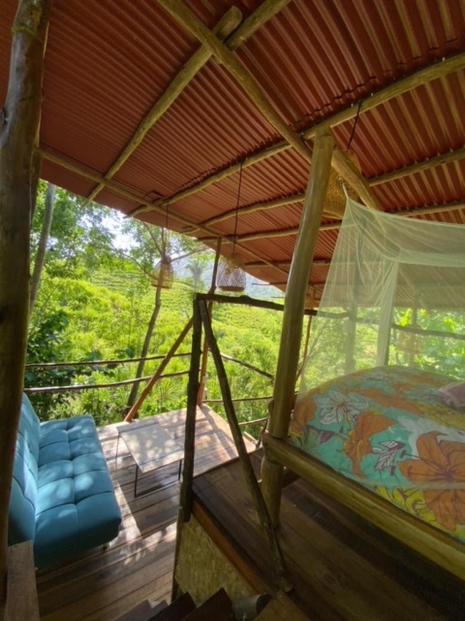 The Valley Tayrona Hostel- A Social Jungle Hostel 埃尔扎伊诺 外观 照片
