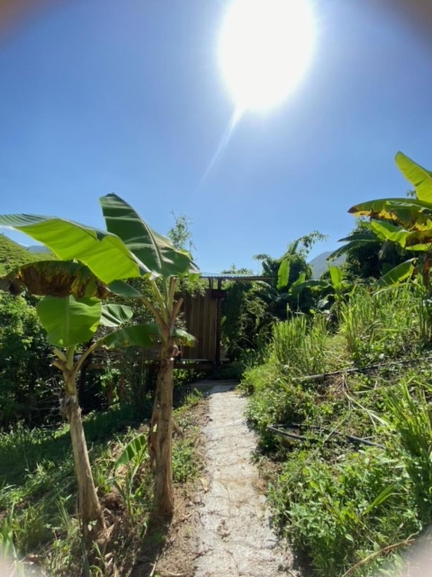 The Valley Tayrona Hostel- A Social Jungle Hostel 埃尔扎伊诺 外观 照片
