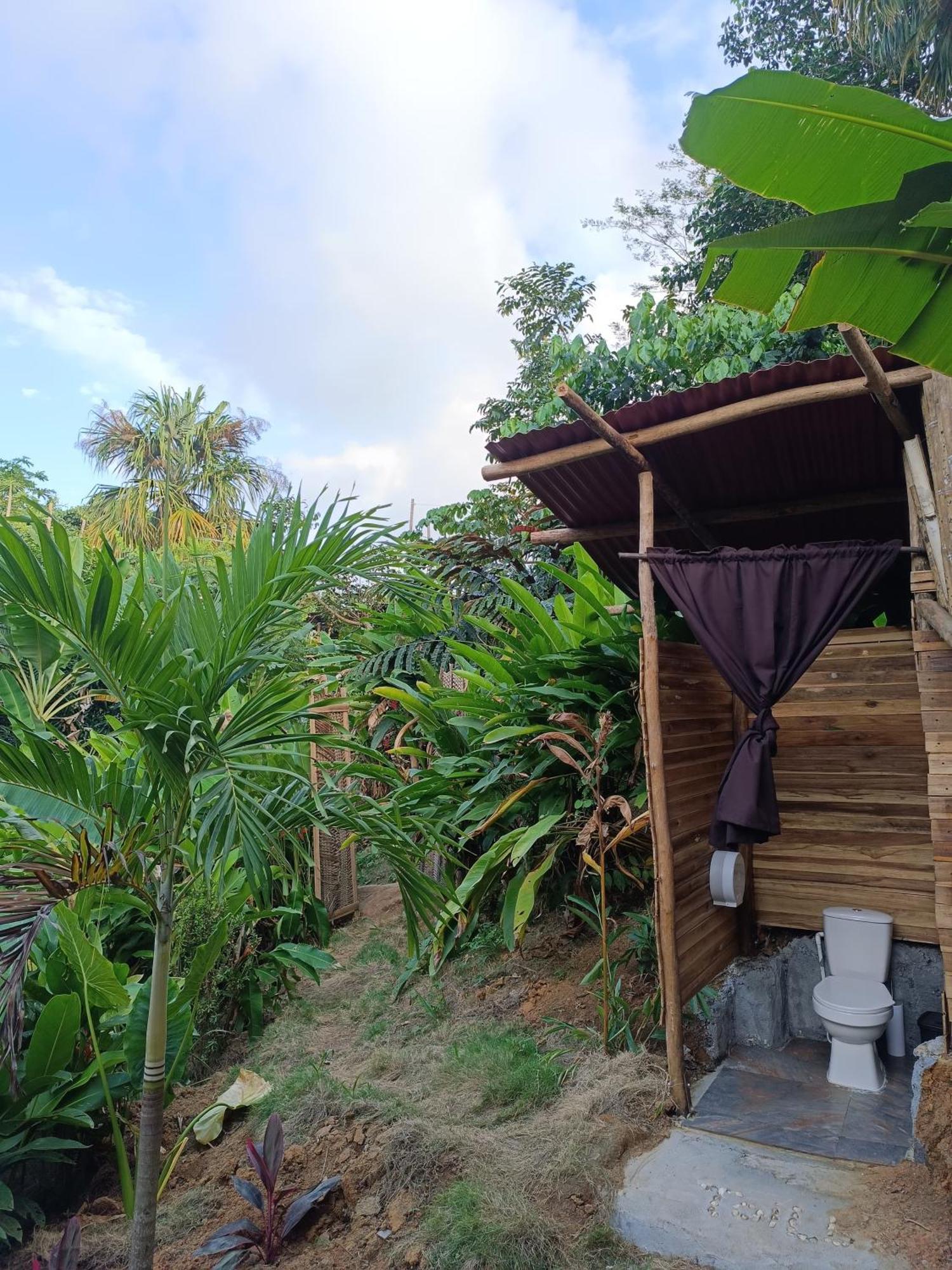 The Valley Tayrona Hostel- A Social Jungle Hostel 埃尔扎伊诺 外观 照片
