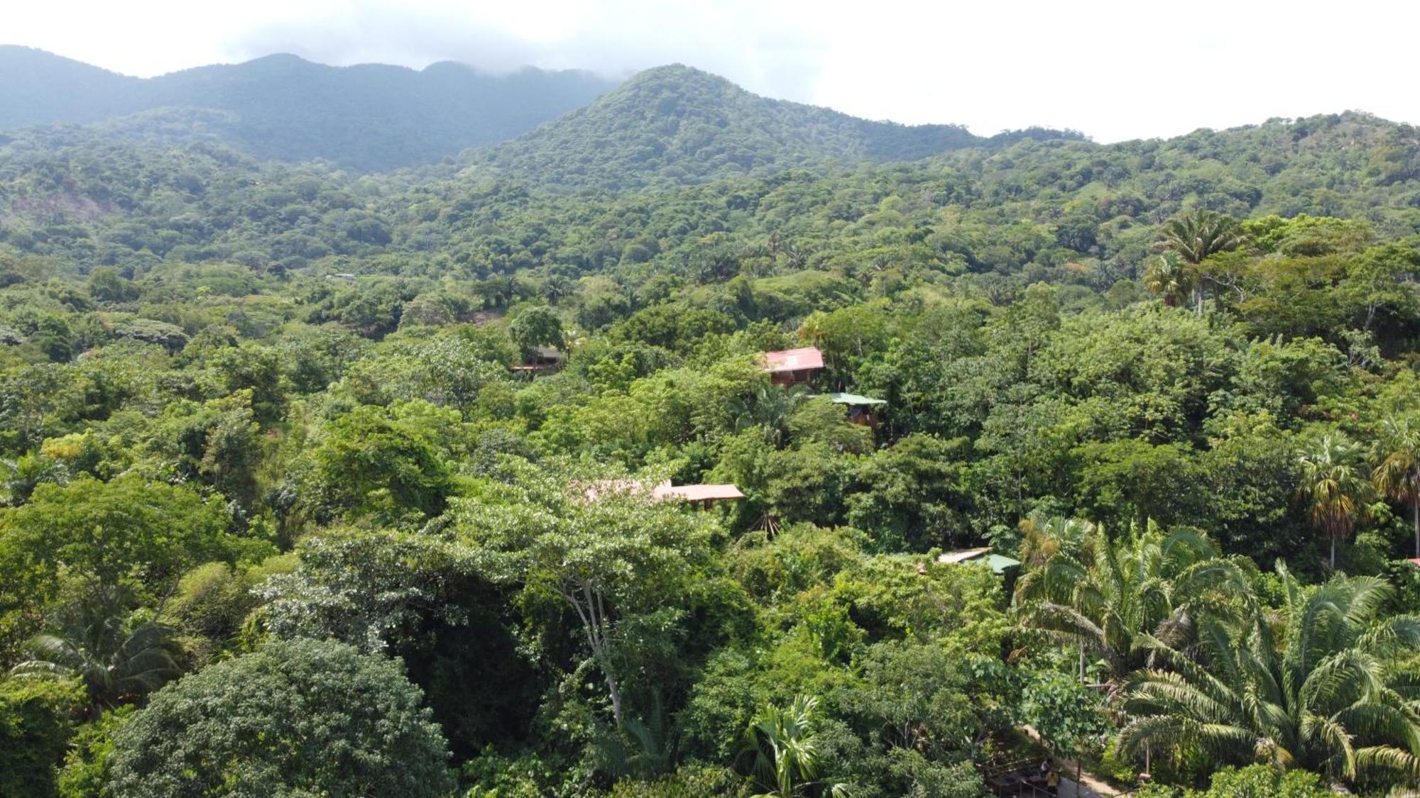 The Valley Tayrona Hostel- A Social Jungle Hostel 埃尔扎伊诺 外观 照片