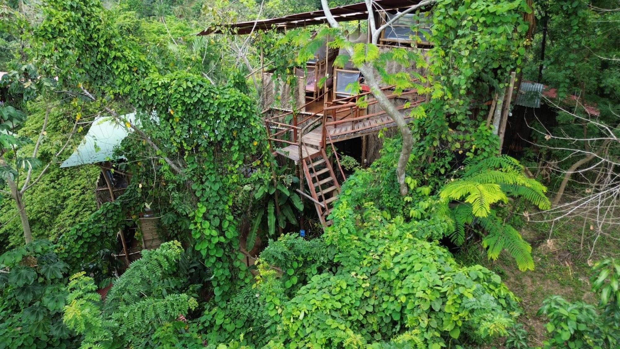 The Valley Tayrona Hostel- A Social Jungle Hostel 埃尔扎伊诺 外观 照片