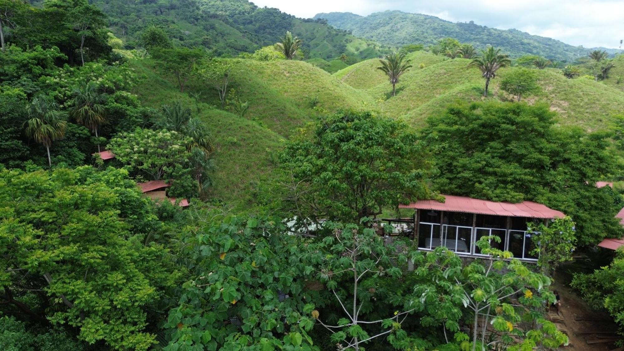 The Valley Tayrona Hostel- A Social Jungle Hostel 埃尔扎伊诺 外观 照片