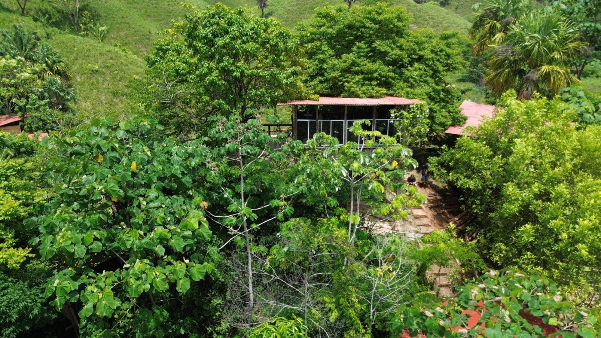 The Valley Tayrona Hostel- A Social Jungle Hostel 埃尔扎伊诺 外观 照片