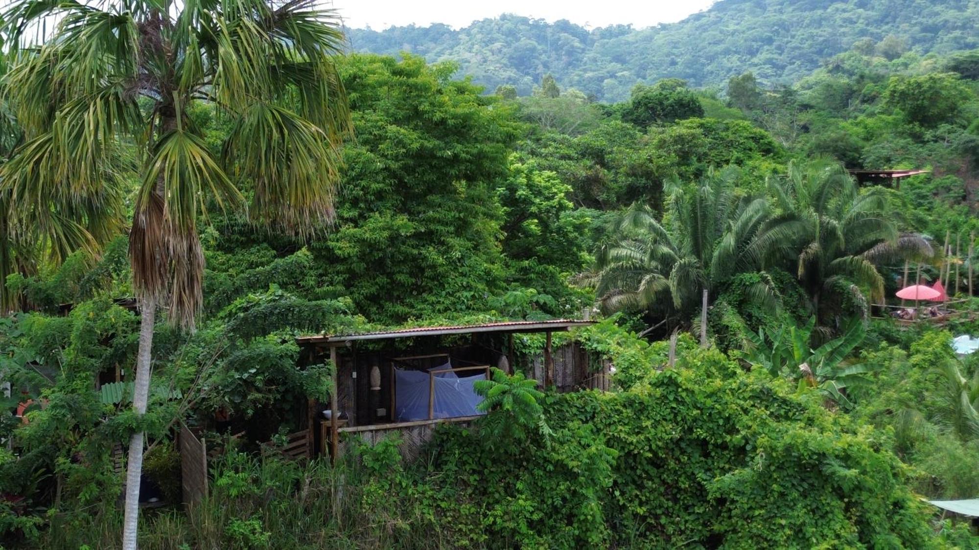 The Valley Tayrona Hostel- A Social Jungle Hostel 埃尔扎伊诺 外观 照片