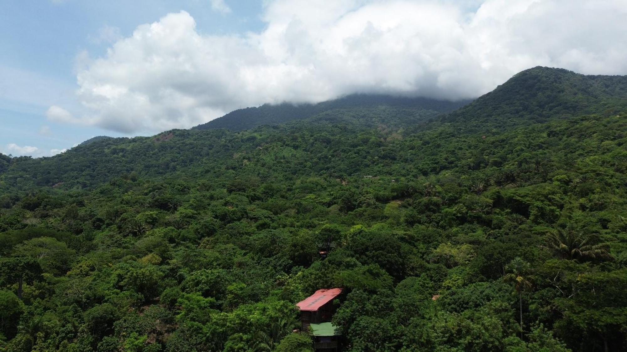 The Valley Tayrona Hostel- A Social Jungle Hostel 埃尔扎伊诺 外观 照片