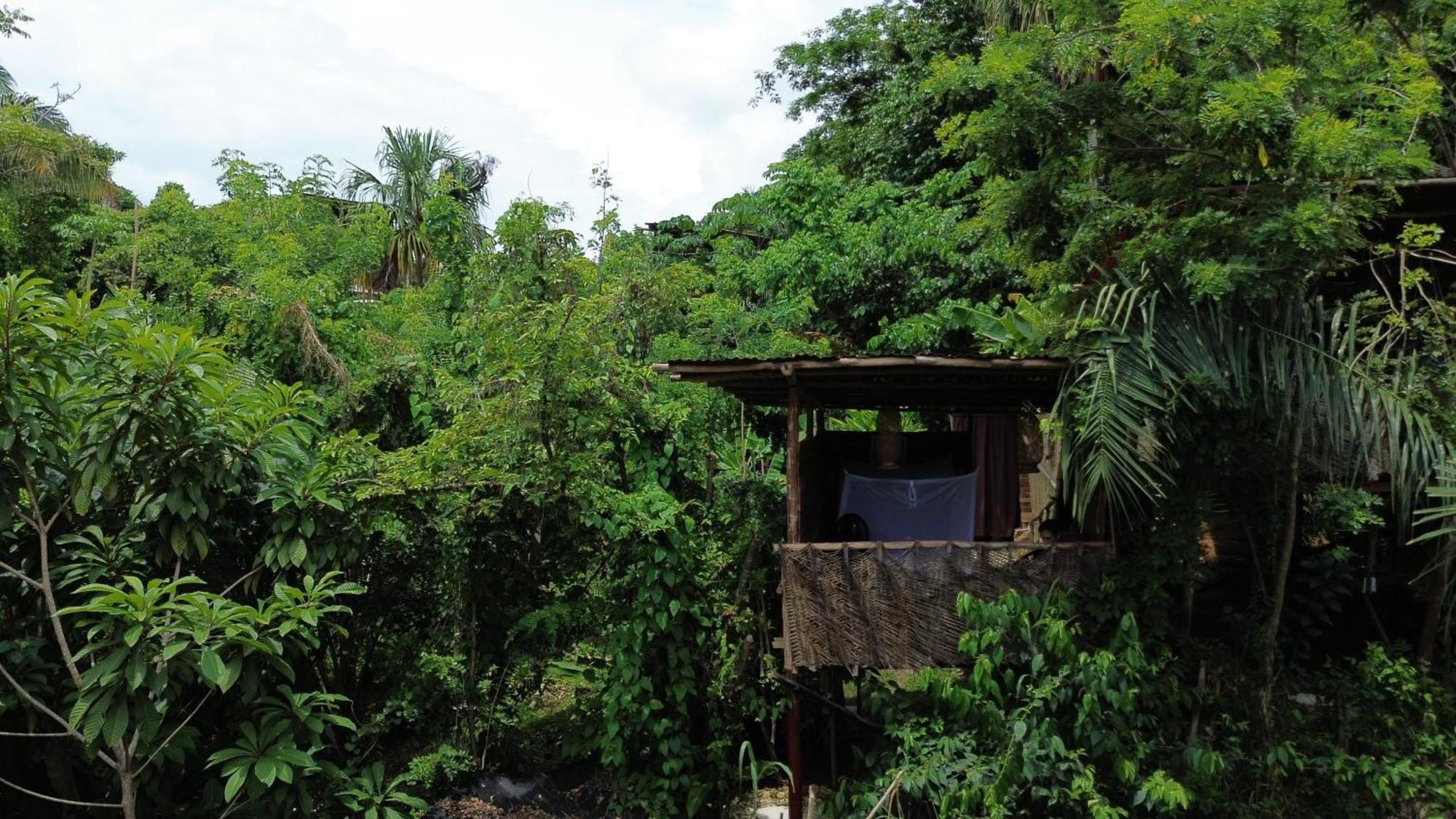 The Valley Tayrona Hostel- A Social Jungle Hostel 埃尔扎伊诺 外观 照片