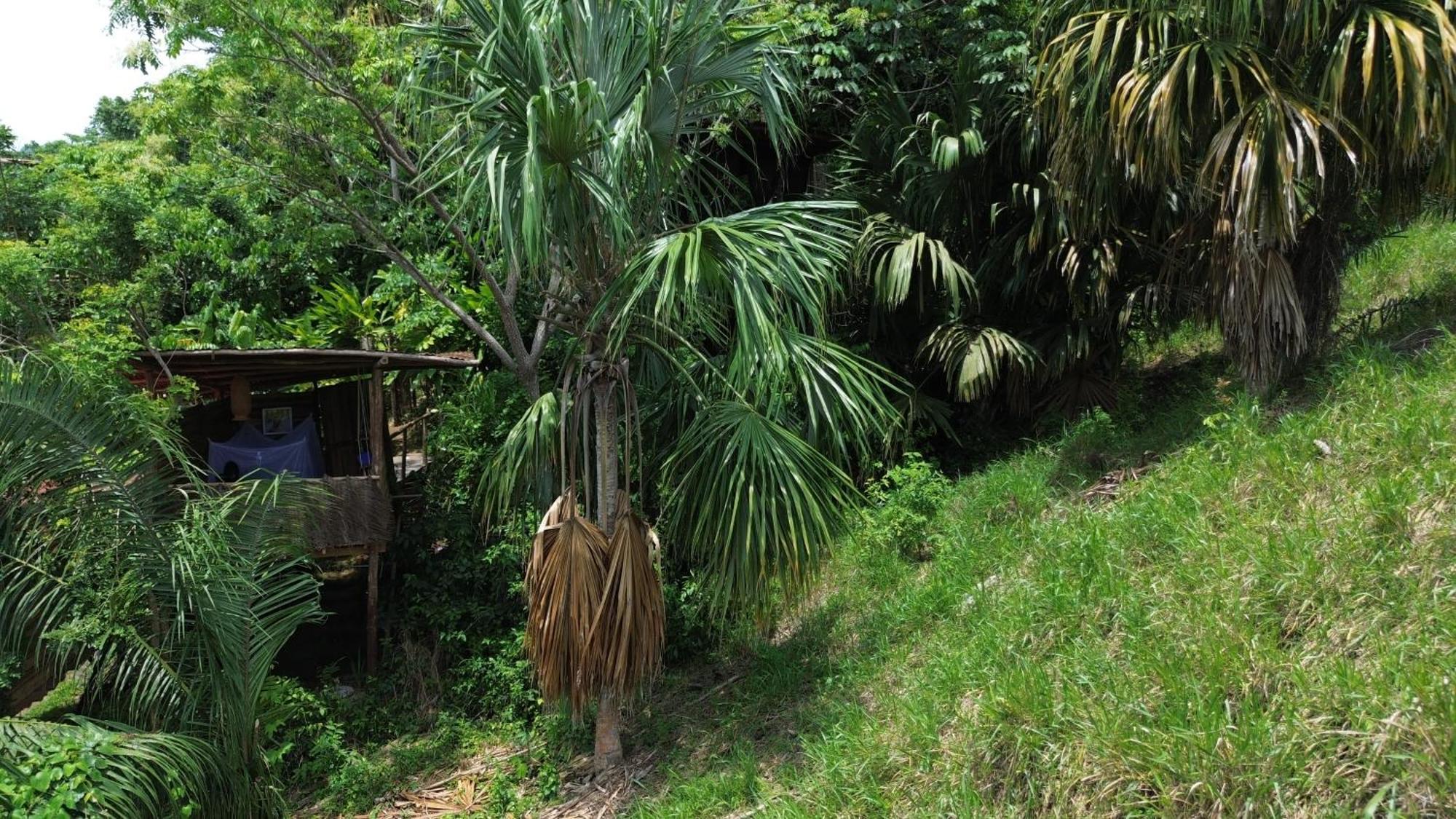 The Valley Tayrona Hostel- A Social Jungle Hostel 埃尔扎伊诺 外观 照片