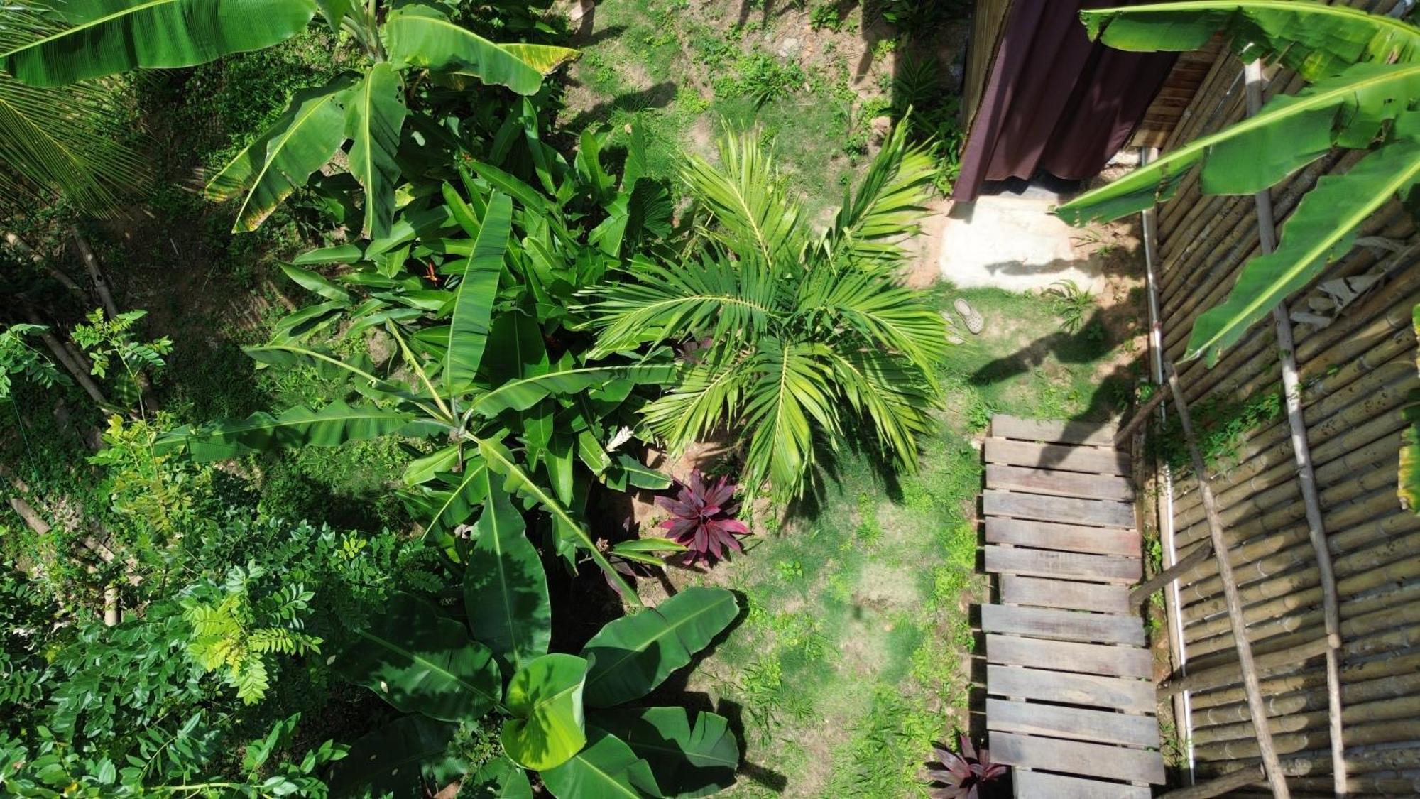 The Valley Tayrona Hostel- A Social Jungle Hostel 埃尔扎伊诺 外观 照片
