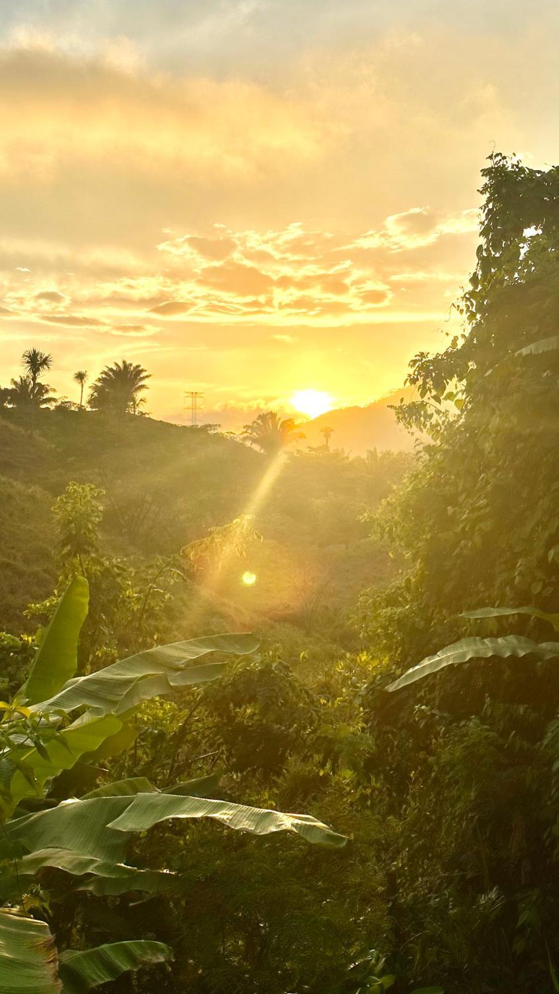 The Valley Tayrona Hostel- A Social Jungle Hostel 埃尔扎伊诺 外观 照片