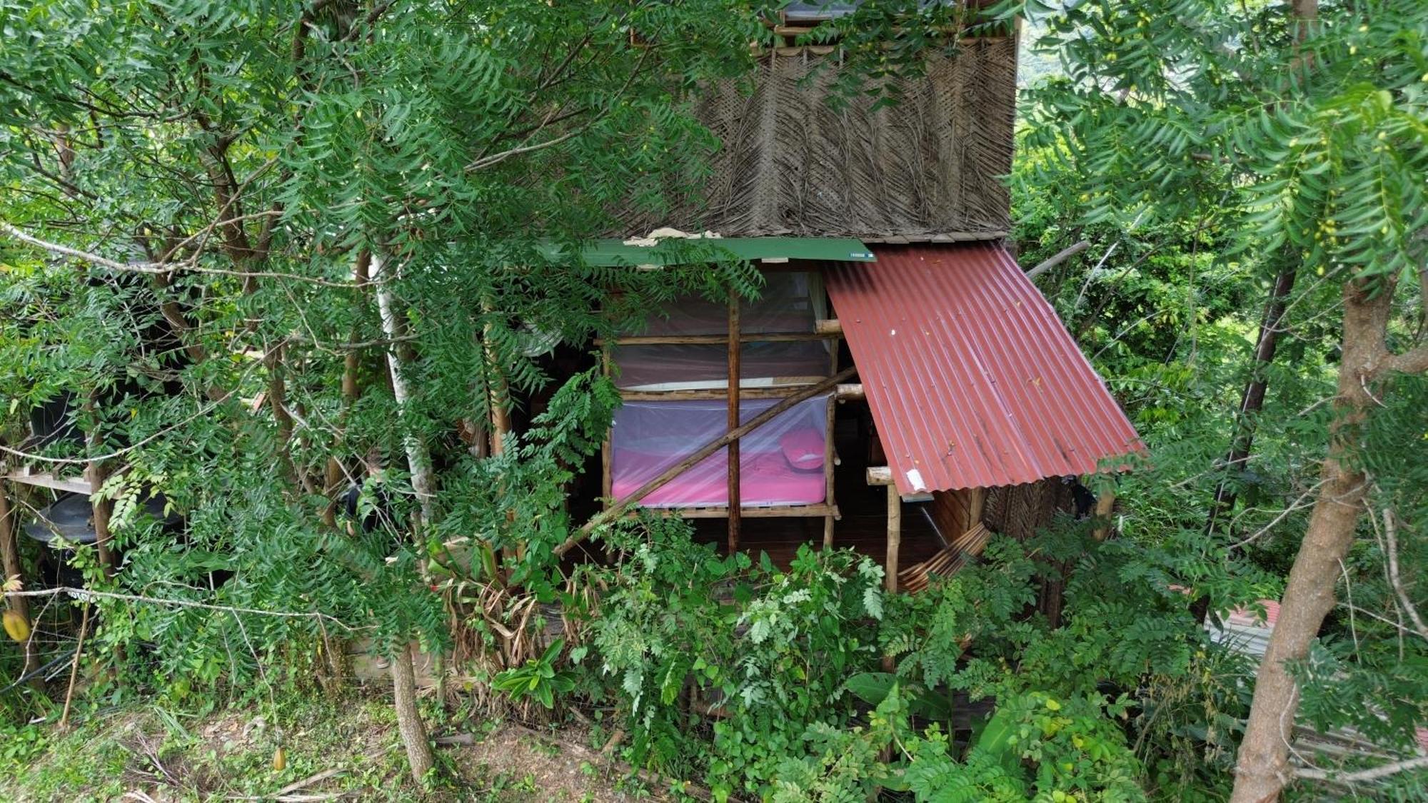 The Valley Tayrona Hostel- A Social Jungle Hostel 埃尔扎伊诺 外观 照片