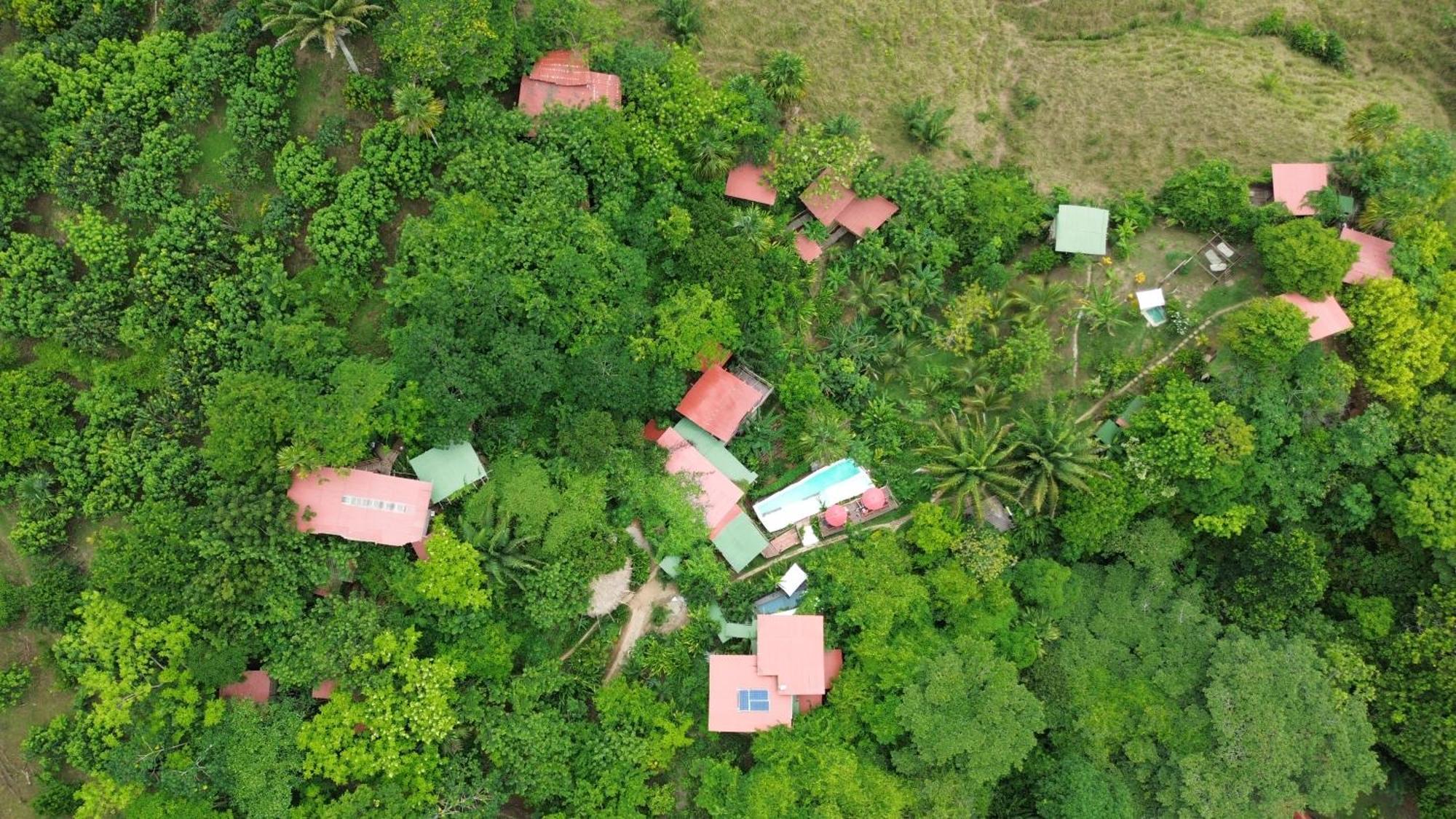 The Valley Tayrona Hostel- A Social Jungle Hostel 埃尔扎伊诺 外观 照片