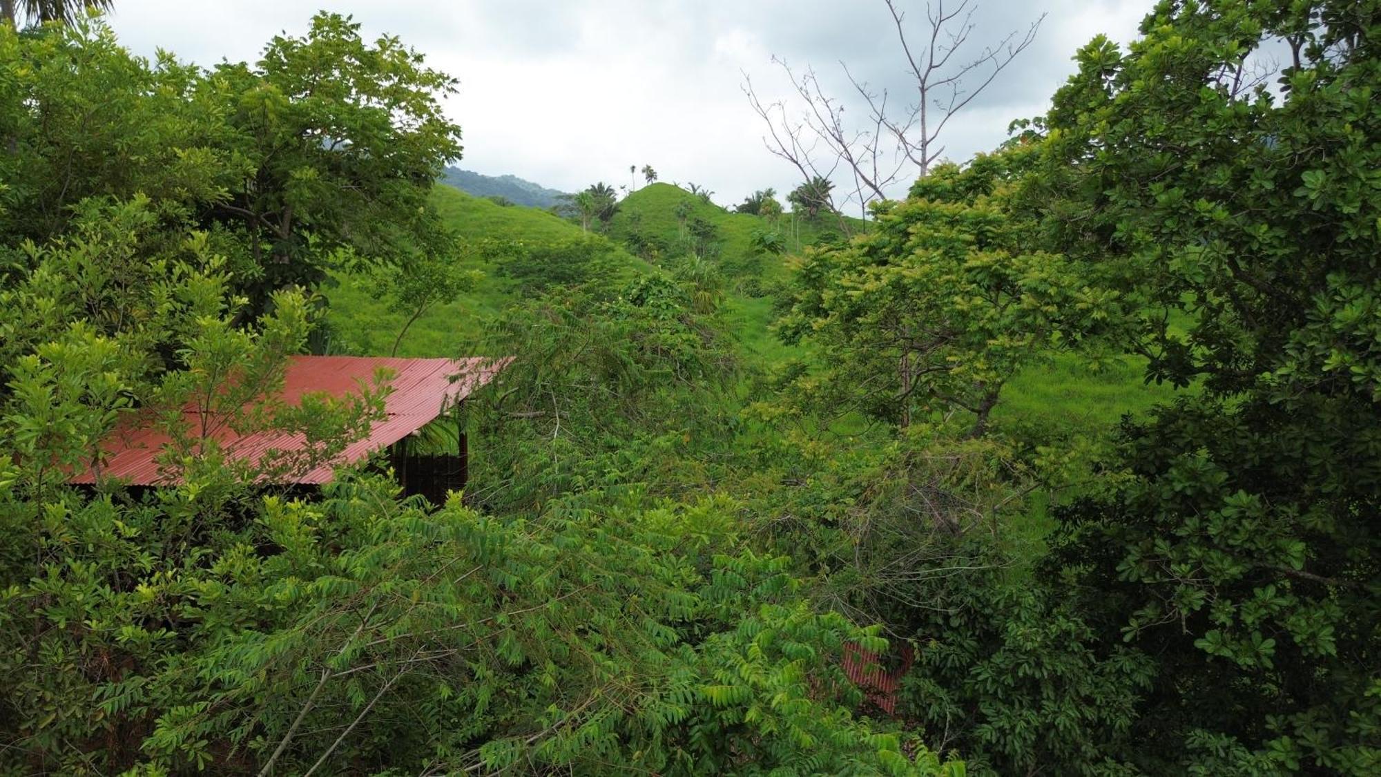 The Valley Tayrona Hostel- A Social Jungle Hostel 埃尔扎伊诺 外观 照片