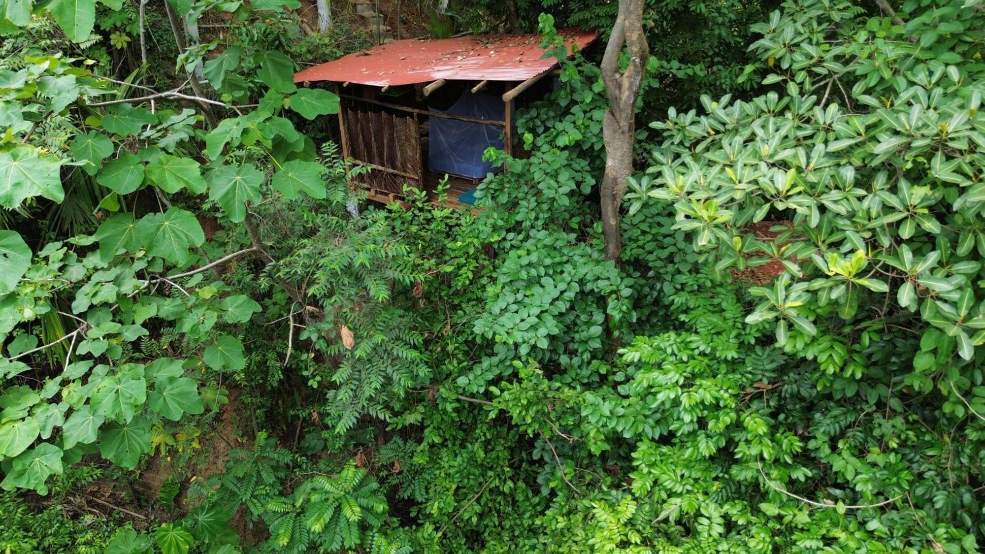 The Valley Tayrona Hostel- A Social Jungle Hostel 埃尔扎伊诺 外观 照片