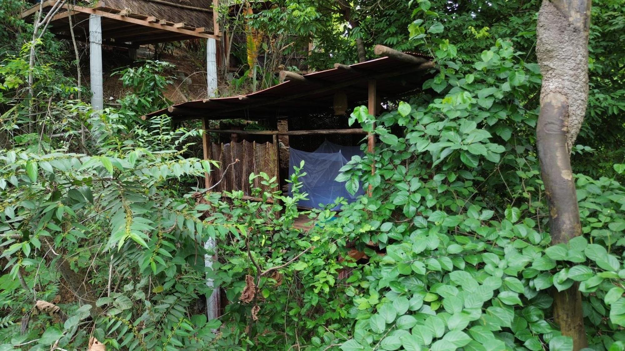 The Valley Tayrona Hostel- A Social Jungle Hostel 埃尔扎伊诺 外观 照片