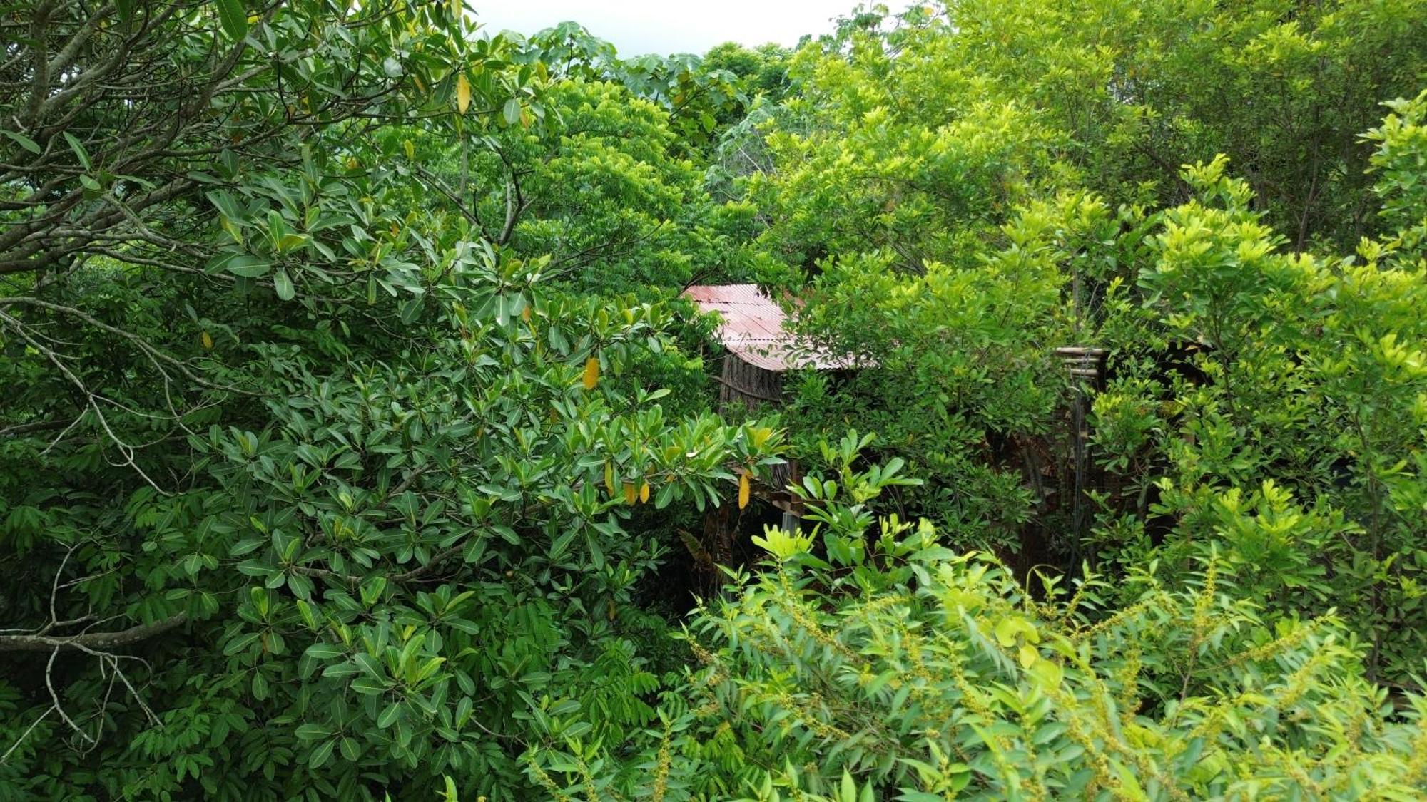 The Valley Tayrona Hostel- A Social Jungle Hostel 埃尔扎伊诺 外观 照片