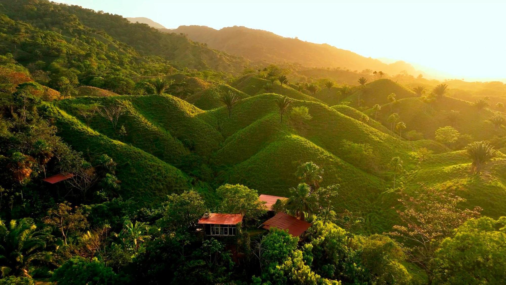 The Valley Tayrona Hostel- A Social Jungle Hostel 埃尔扎伊诺 外观 照片